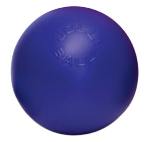 Jolly Push-n-Play Blauw M (15 cm) - Onverwoestbaar Speelgoed voor Honden
