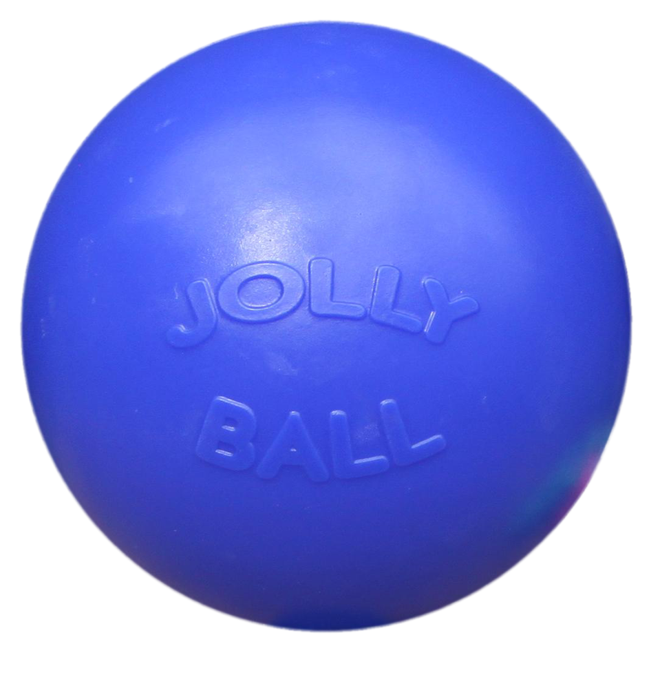 Jolly Push-n-Play Blauw L - Speelgoed voor Honden (25 cm) - afbeelding 1