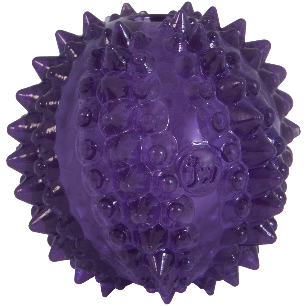 JW Puppy Bristl-ee Cactus Ball - Speelbal voor puppy's en kleine honden - afbeelding 1