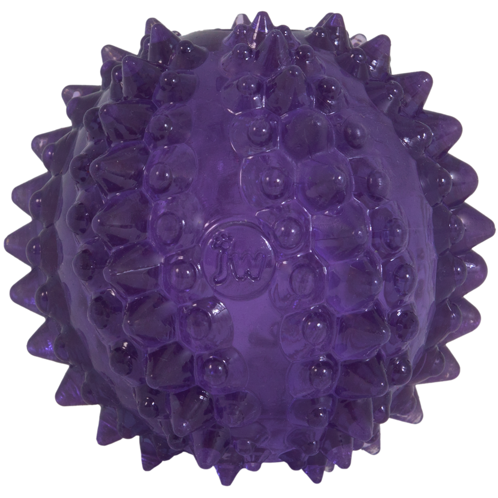 JW Puppy Bristl-ee Cactus Ball - Speelbal voor puppy's en kleine honden - afbeelding 2