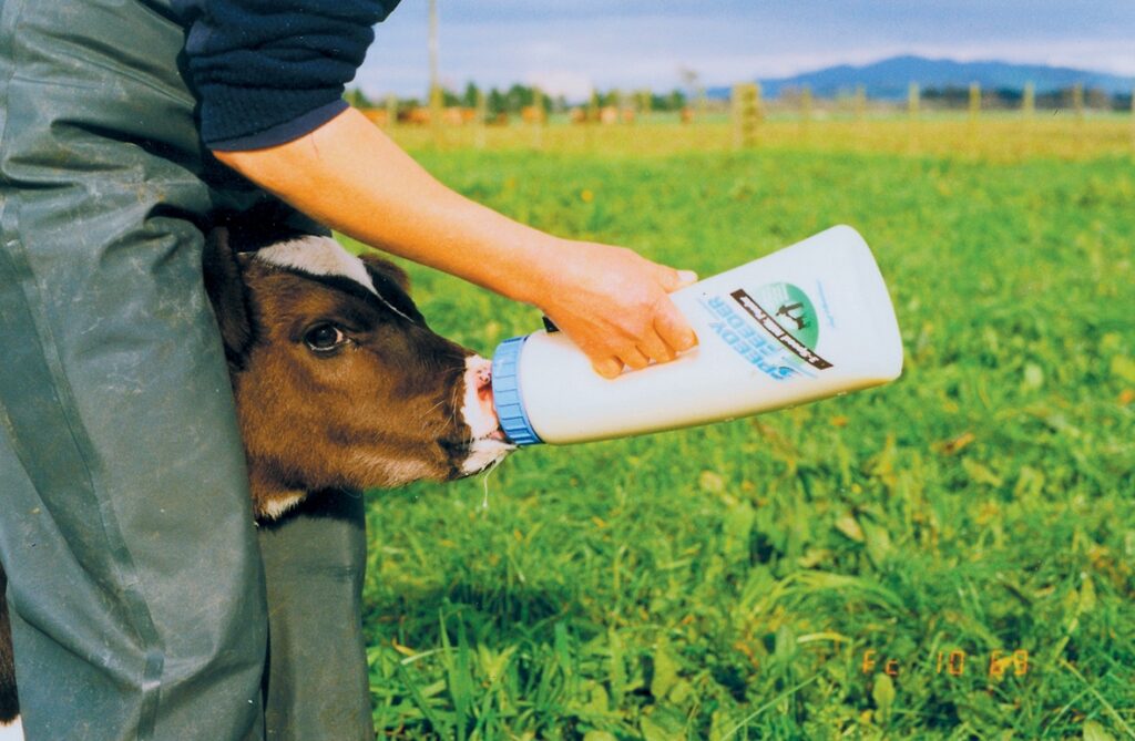 Calf Feeder Speedy Feeder 2,5 l - Shoof - afbeelding 2