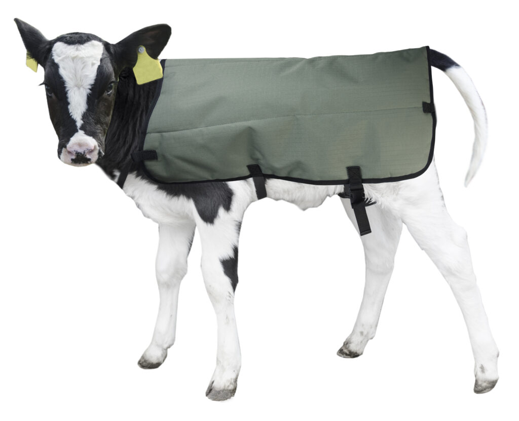 Calf Coat Kalverdek 70 cm - Hofman Animal Care - afbeelding 4
