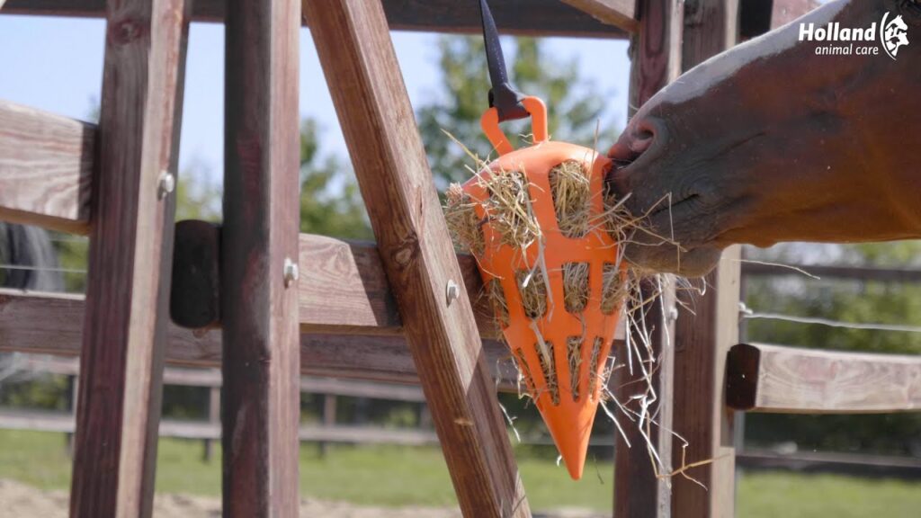 Hay Slow Feeder Fun & Flex Carrot Oranje - Langzaam Voeren voor Paarden - afbeelding 2