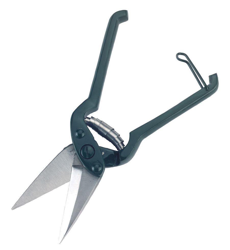 Klauwschaar voor schapen - 26 cm