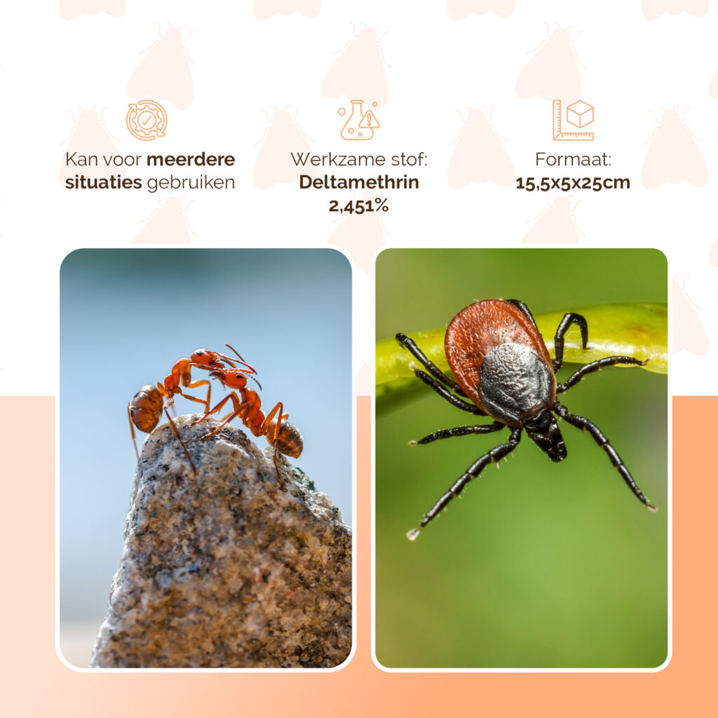 Knock Pest Insectenmiddel voor 5 L - Effectief tegen kruipende insecten - afbeelding 3