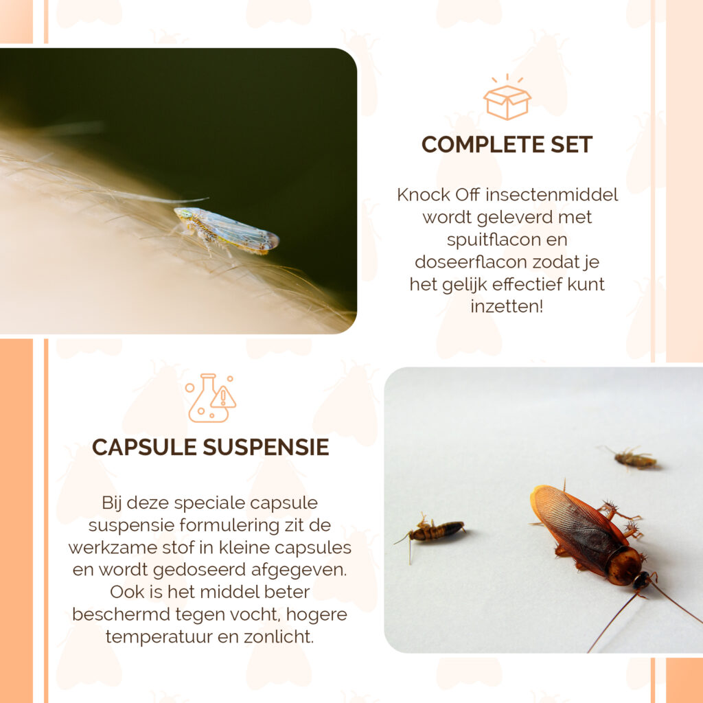 Knock Pest Insectenmiddel voor 5 L - Effectief tegen kruipende insecten - afbeelding 4