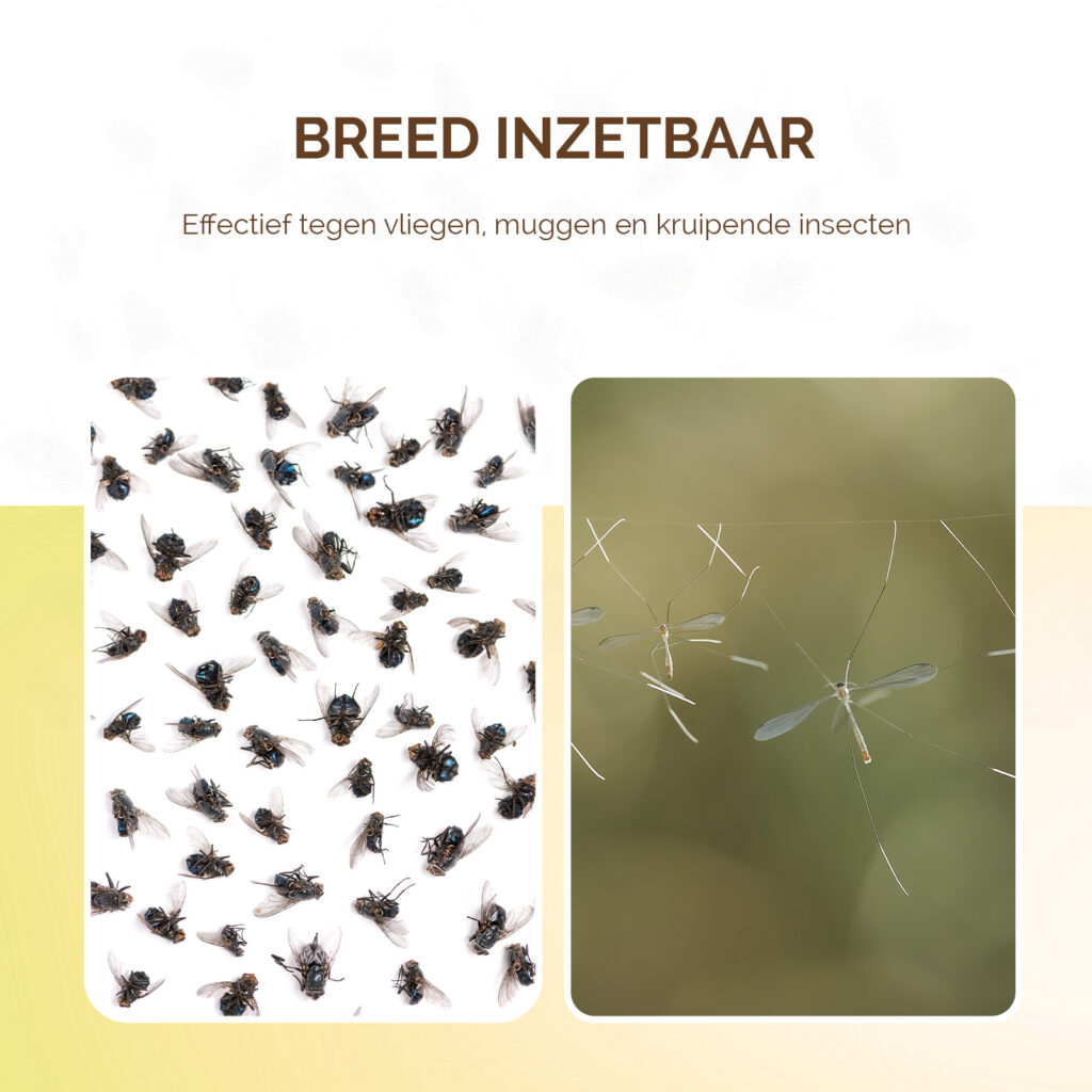 Knock Pest Lijmplaat voor Insectenval Ø 13,5 cm - afbeelding 3