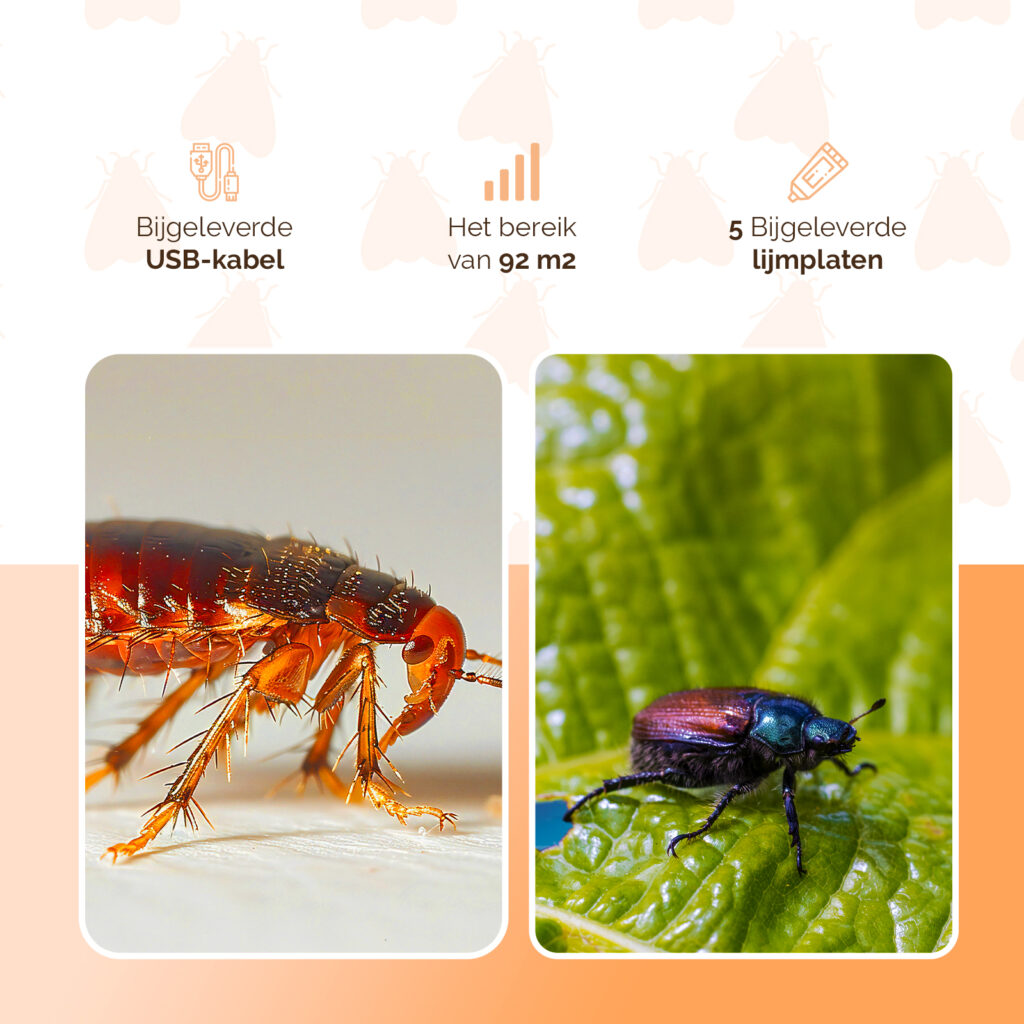 Knock Pest Insectenval voor Vliegende en Kruipende Insecten - afbeelding 6