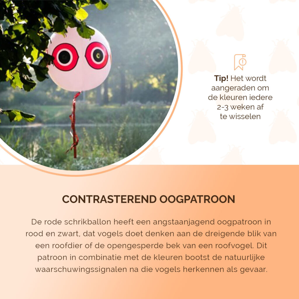 Knock Pest Schrikballon Rood - Opblaasbare Vogelafschrikker Ø 40 cm - afbeelding 4