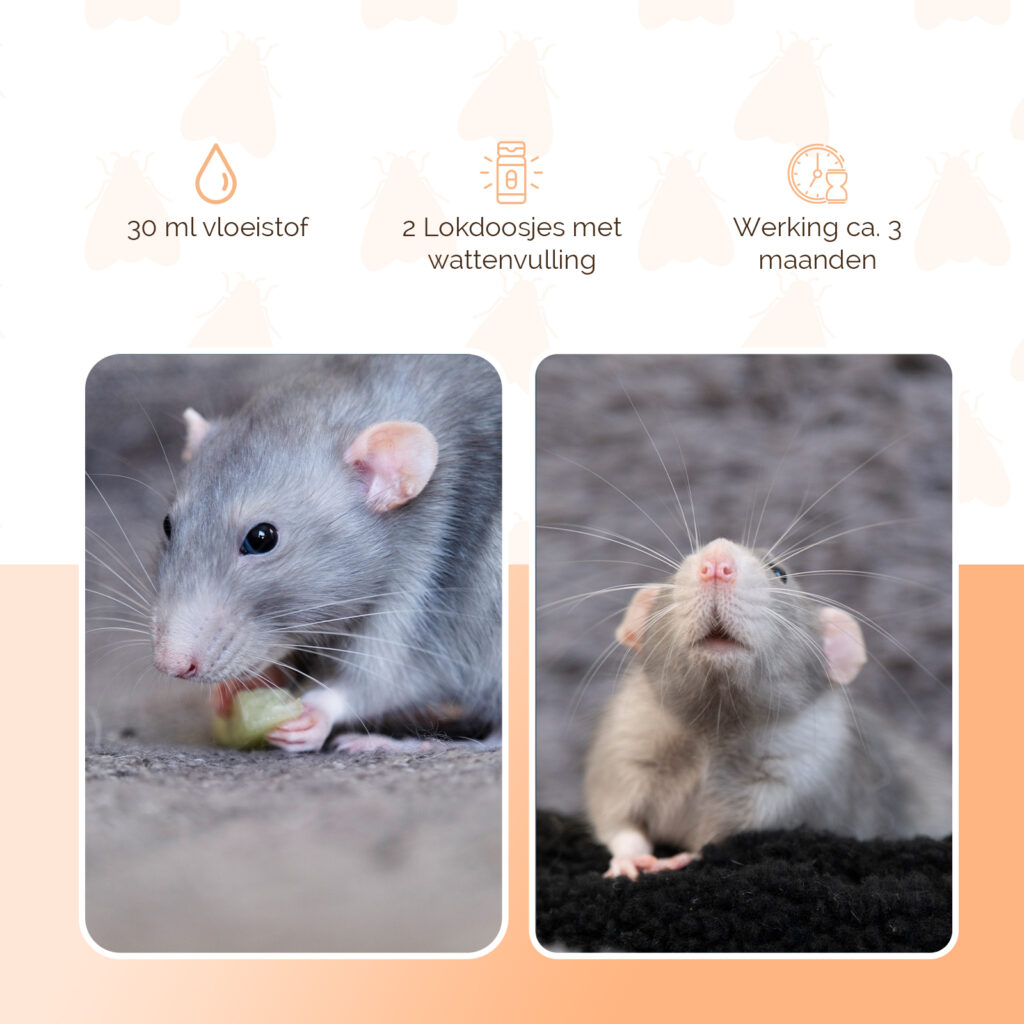 Knock Pest Stay Away Muis Home Set - Natuurlijke Ongediertebestrijding - afbeelding 3