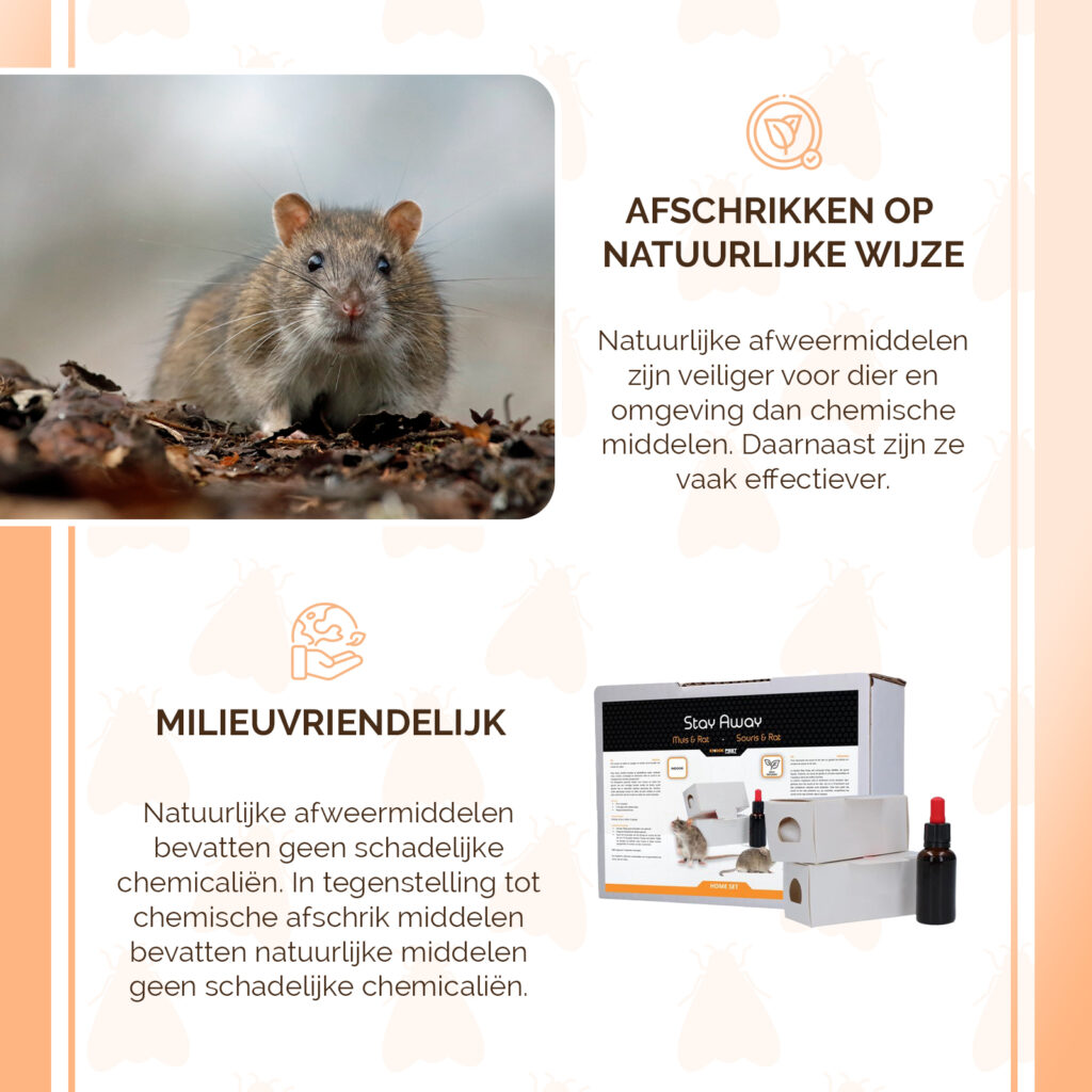 Knock Pest Stay Away Muis Home Set - Natuurlijke Ongediertebestrijding - afbeelding 5