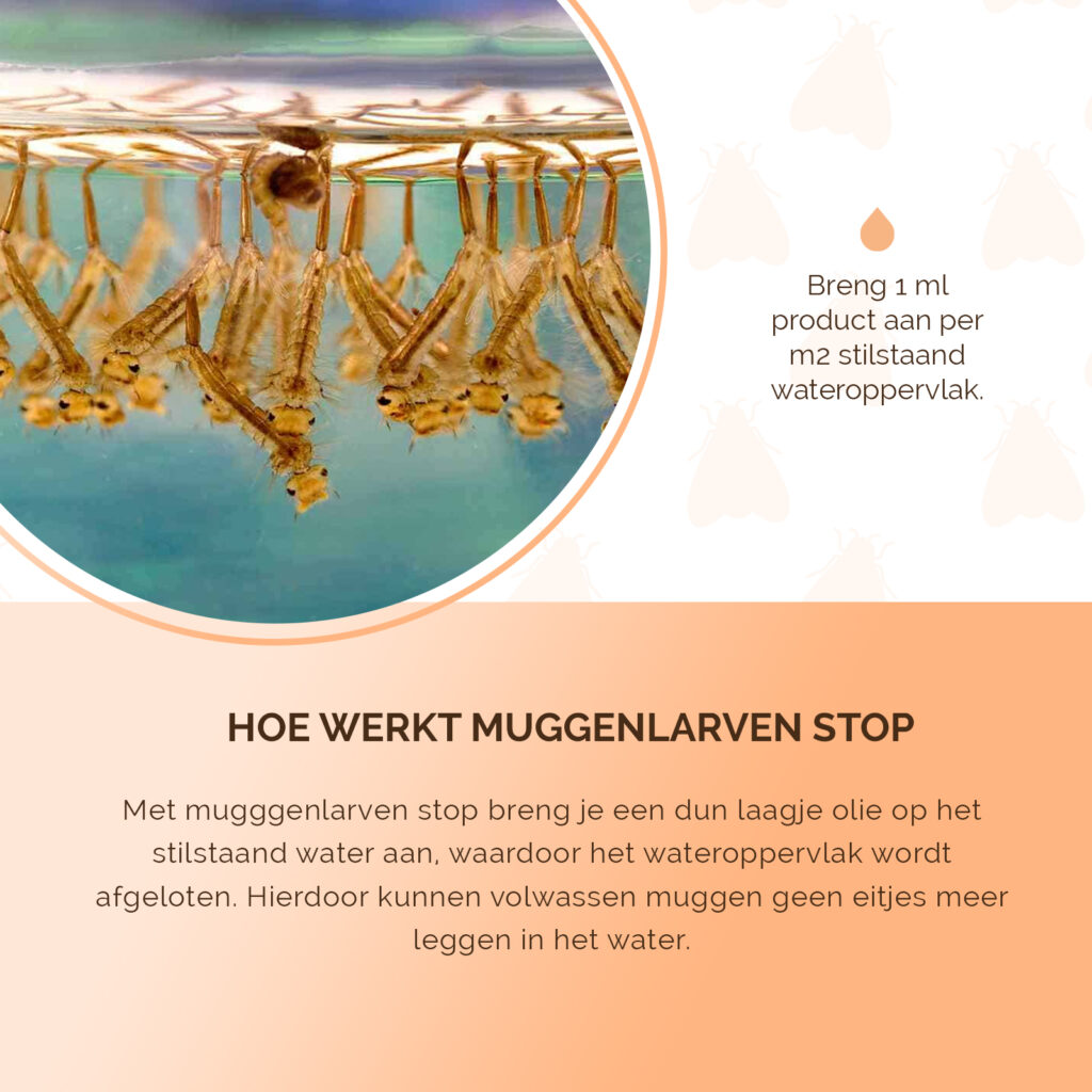 Knock Pest Muggenlarven Stop 50 ml - Bestrijding van muggenlarven - afbeelding 5