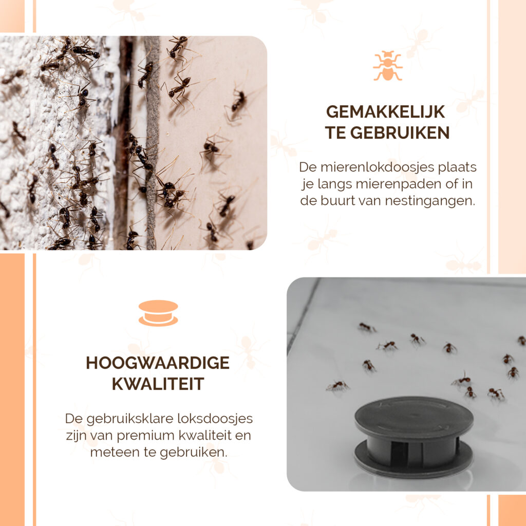 Knock Pest Mierenlokdoos - 2 stuks voor effectieve mierenbestrijding - afbeelding 5
