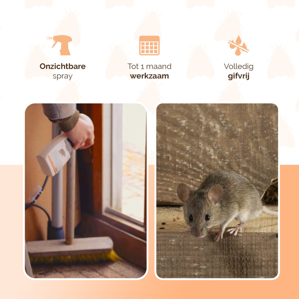 Knock Pest BlijfWeg Muis 250 ml spray tegen muizen - afbeelding 3