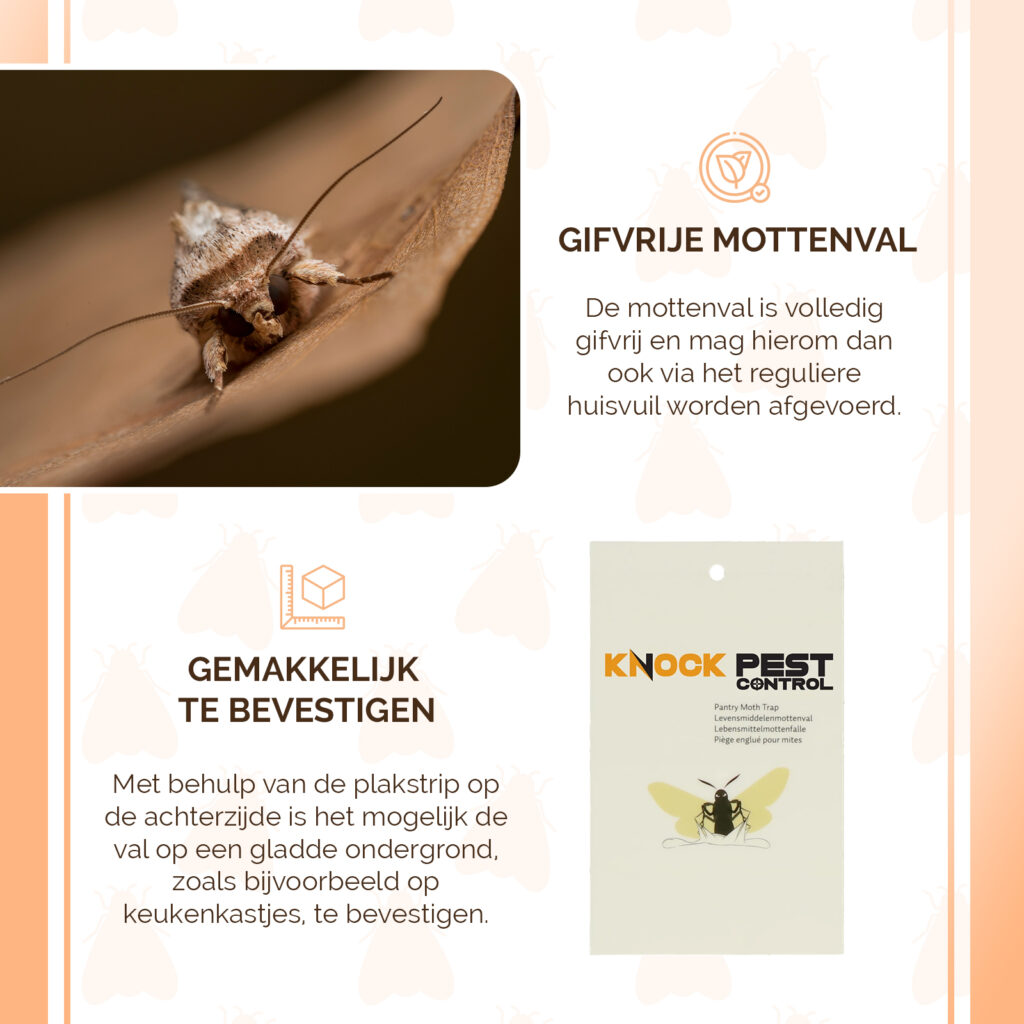 Knock Pest Levensmiddelenmottenval Vlak - 2 kleefvallen - afbeelding 6