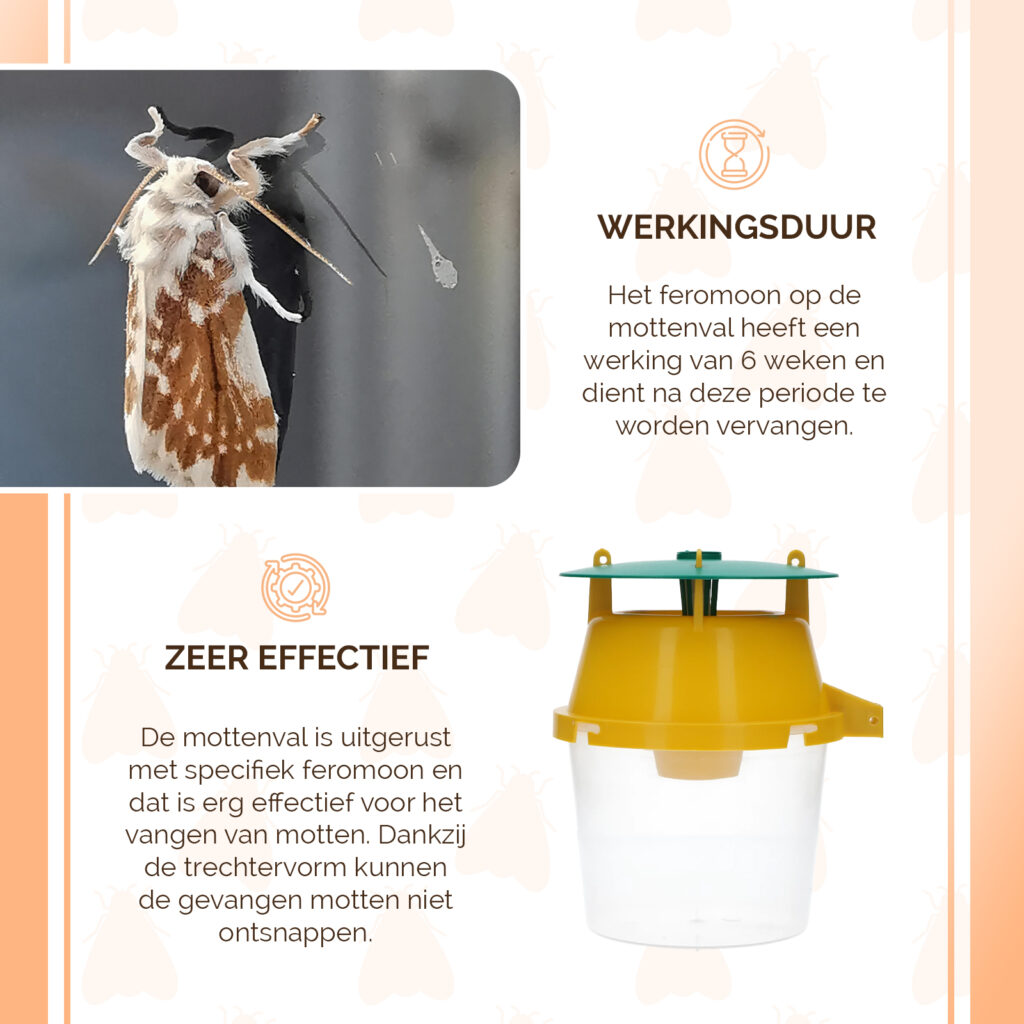 Knock Pest Mottenval met Feromoon voor Vliegende Insecten - afbeelding 5