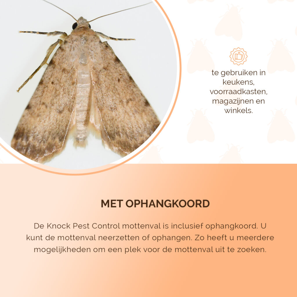 Knock Pest Mottenval met Feromoon voor Vliegende Insecten - afbeelding 6