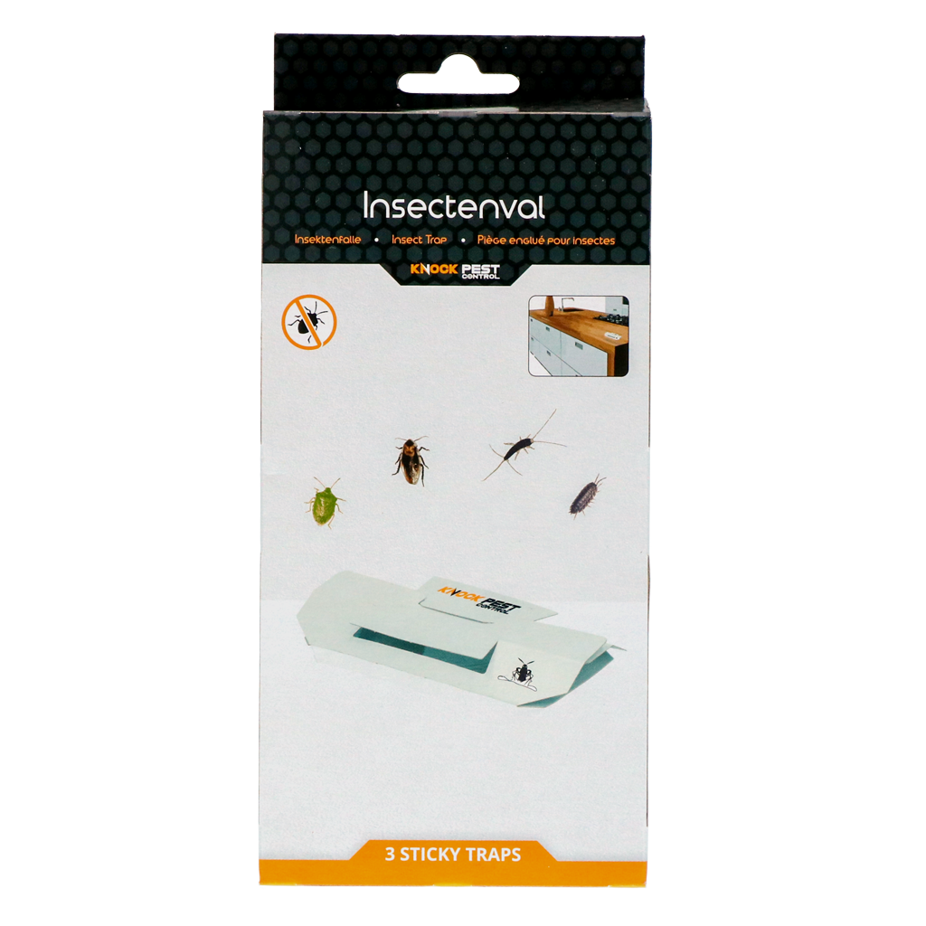 Knock Pest Insectenval Groot - Vang Kakkerlakken en Andere Insecten - afbeelding 1