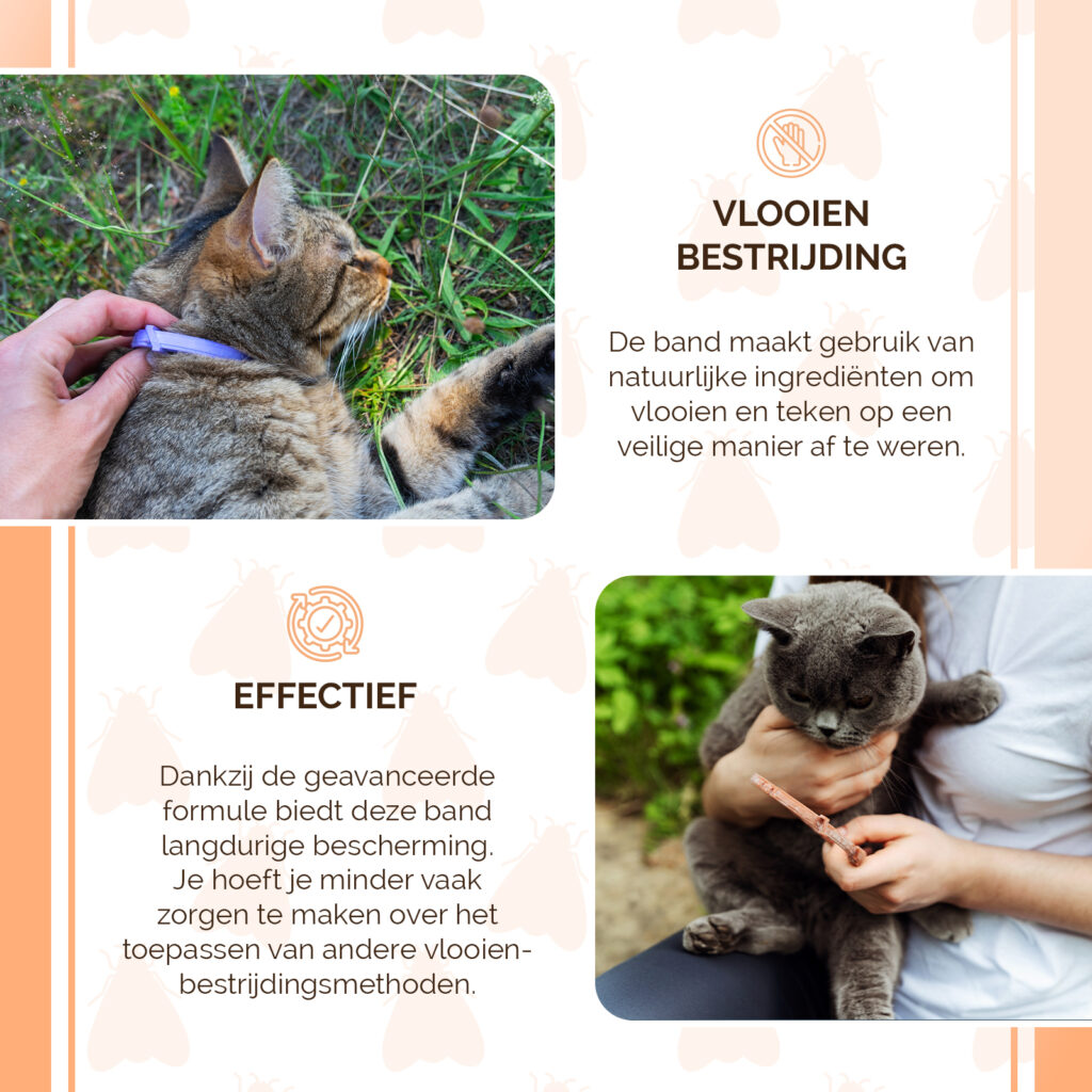 Knock Pest Vlooien/Tekenband Kat 33 cm NL/FR - Gifvrij en Regenbestendig - afbeelding 4
