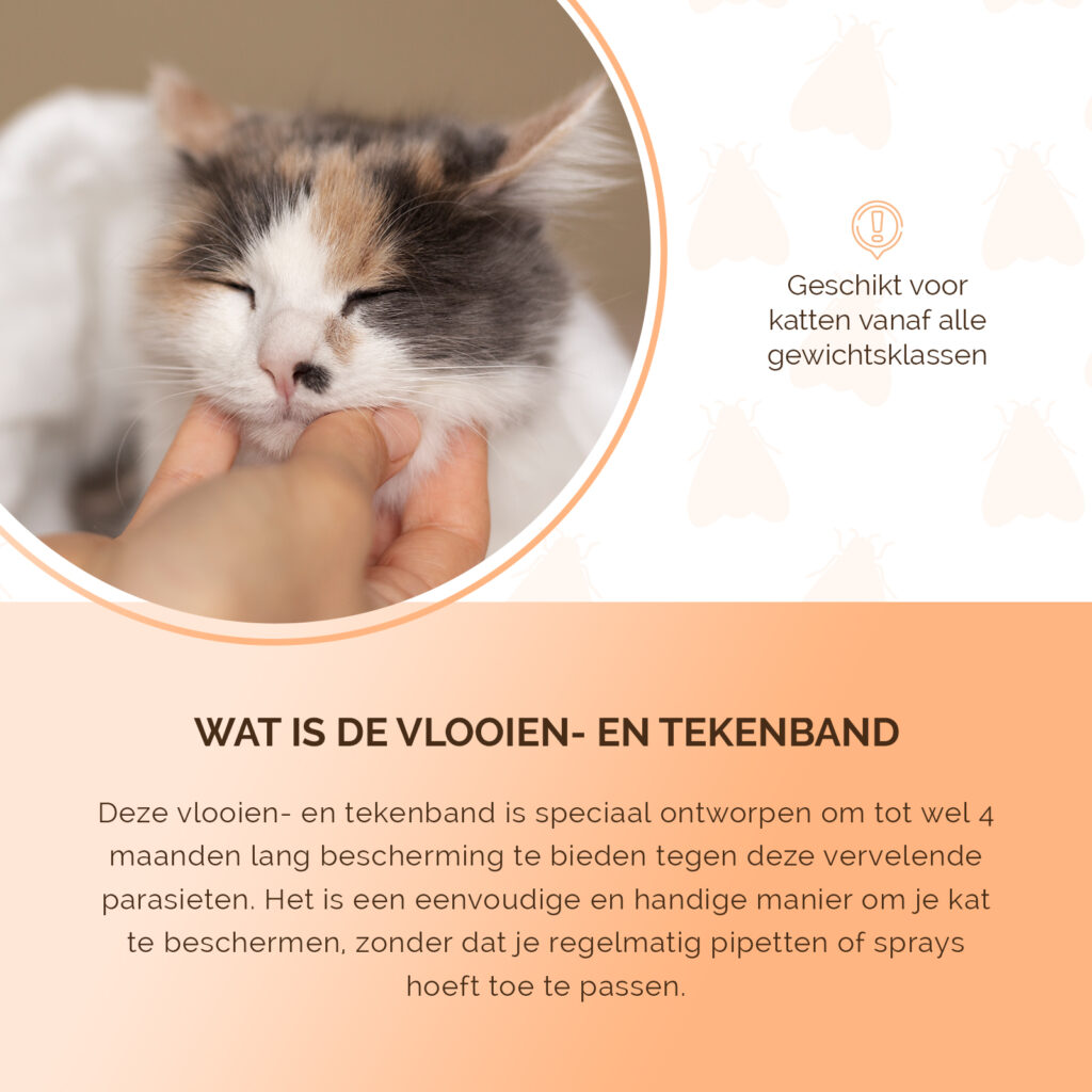 Knock Pest Vlooien/Tekenband Kat 33 cm NL/FR - Gifvrij en Regenbestendig - afbeelding 5