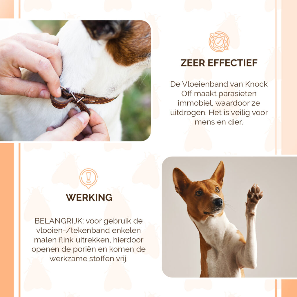Knock Pest Vlooien/Tekenband Hond 33 cm - 100% gifvrij - afbeelding 4