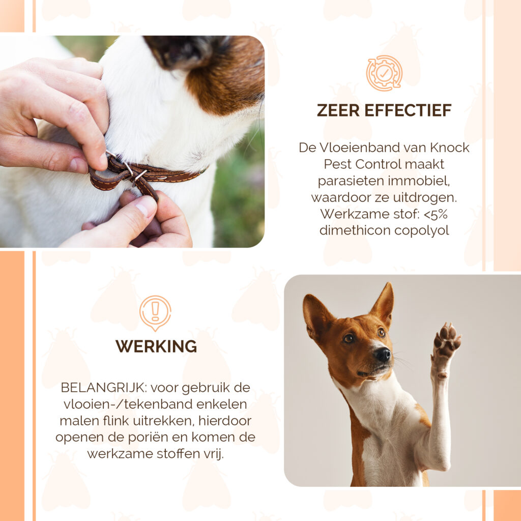 Knock Pest Vlooien/Tekenband Hond 33 cm DE/UK - 100% gifvrij - afbeelding 4