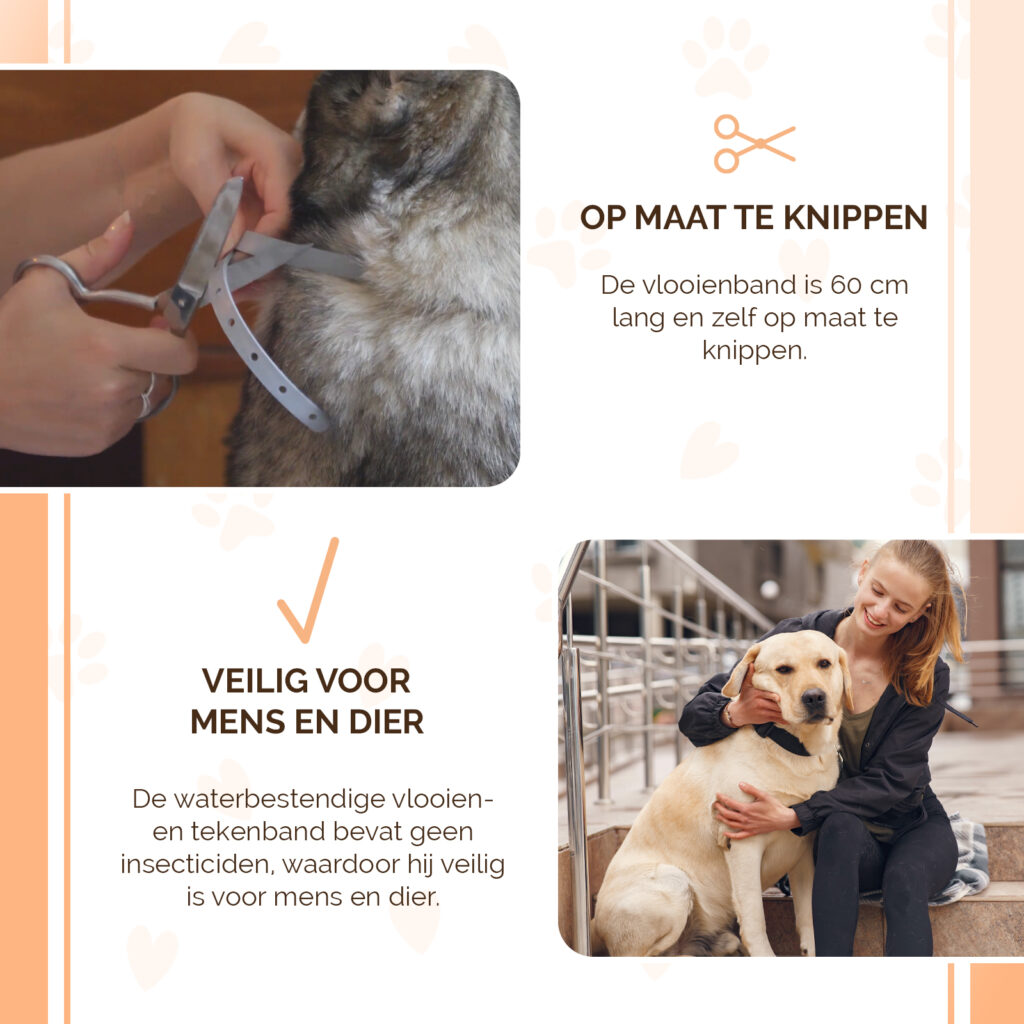 Knock Pest Vlooien/Tekenband Hond 59 cm - 100% gifvrij en regenbestendig - afbeelding 4