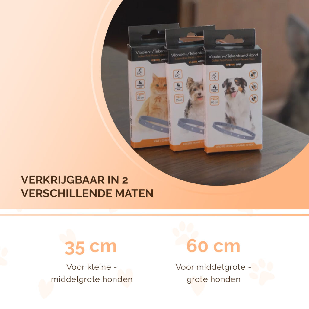 Knock Pest Vlooien/Tekenband Hond 59 cm - 100% gifvrij en regenbestendig - afbeelding 5