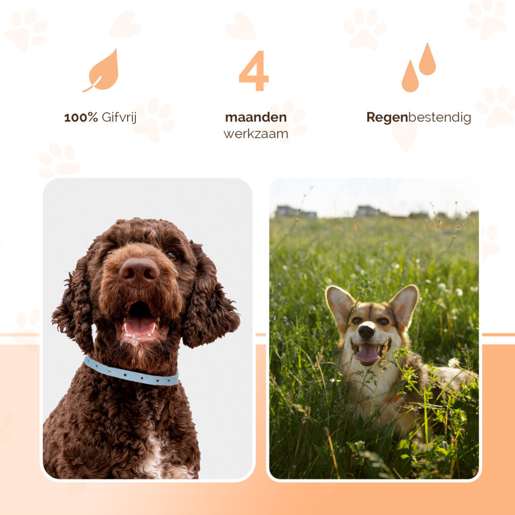 Knock Pest Vlooien/Tekenband Hond 59 cm - Gifvrij en Regenbestendig - afbeelding 3