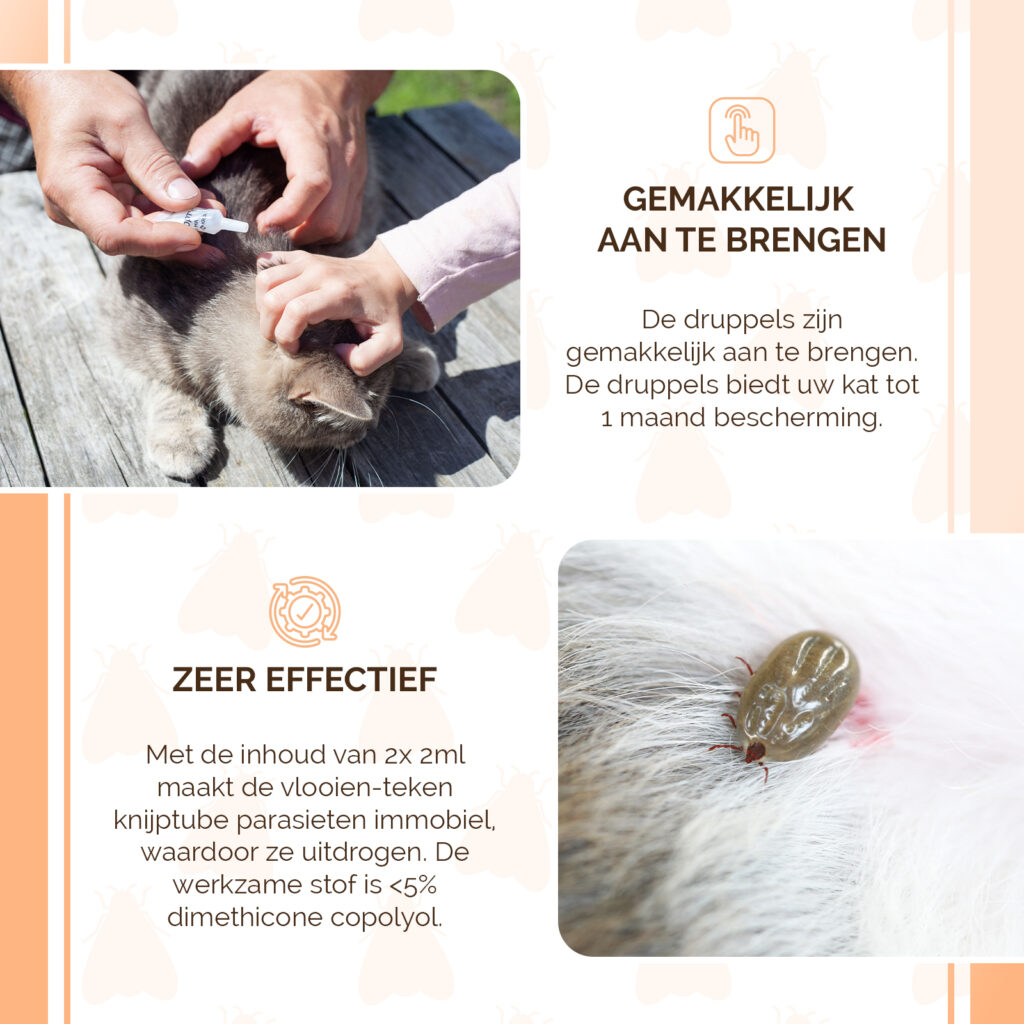 Knock Pest Vlooien- en Tekenpipet voor Katten, 2 x 2 ml - afbeelding 4