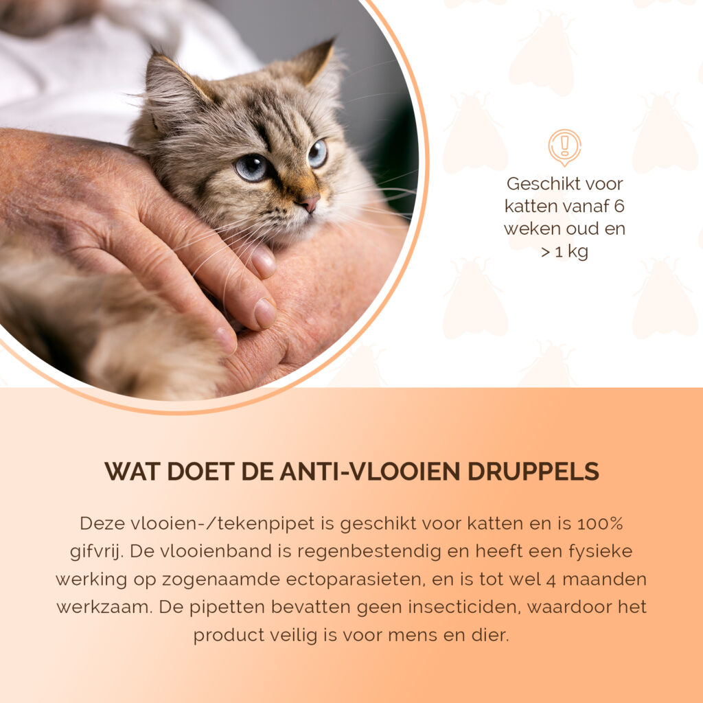 Knock Pest Vlooien- en Tekenpipet voor Katten, 2 x 2 ml - afbeelding 5