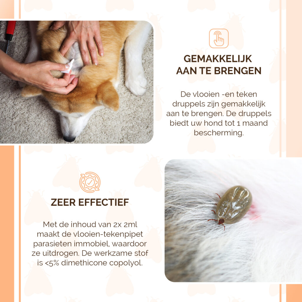 Knock Pest vlooien-tekenpipet Hond <5 kg - 2 x 2 ml - afbeelding 4
