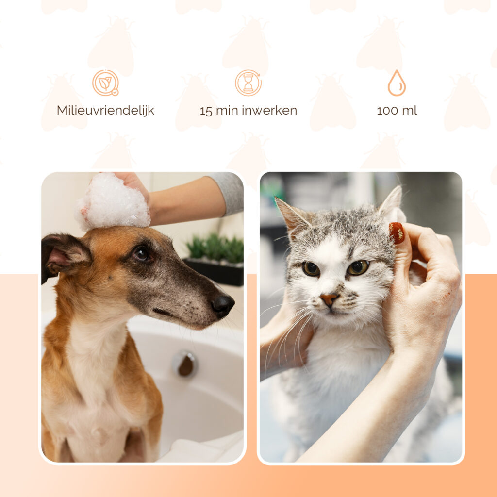 Knock Pest Vlooienshampoo 100 ml voor honden en katten - afbeelding 3