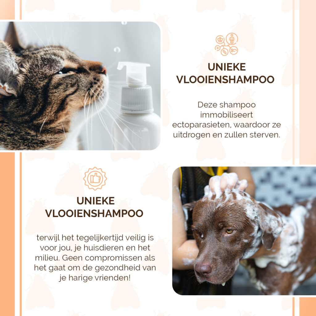 Knock Pest Vlooienshampoo 100 ml voor honden en katten - afbeelding 4
