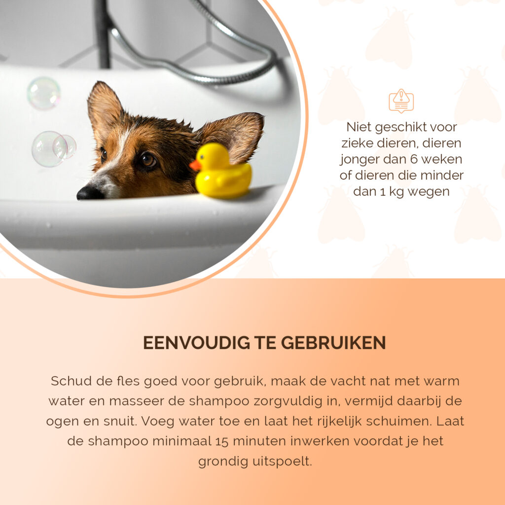 Knock Pest Vlooienshampoo 100 ml voor honden en katten - afbeelding 5