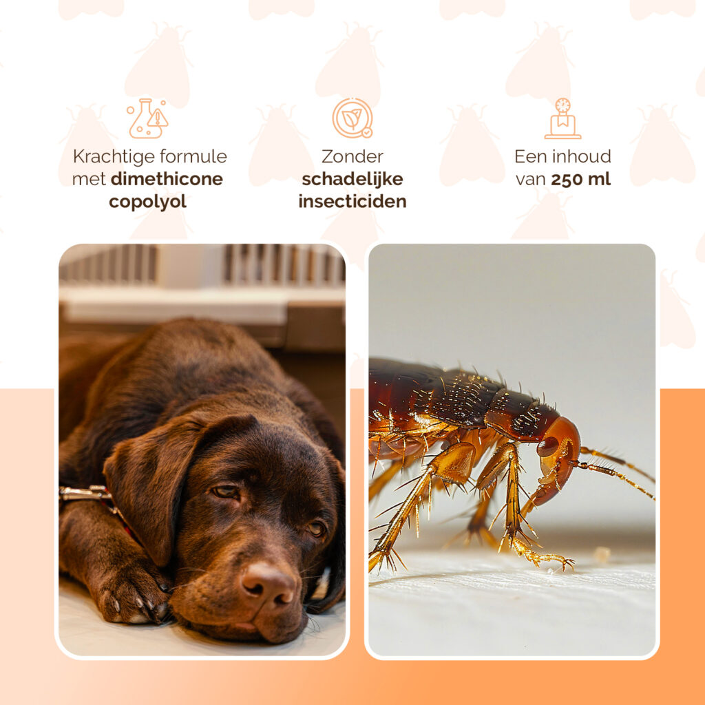 Knock Pest Vlooienshampoo 250 ml voor Honden en Katten - afbeelding 3