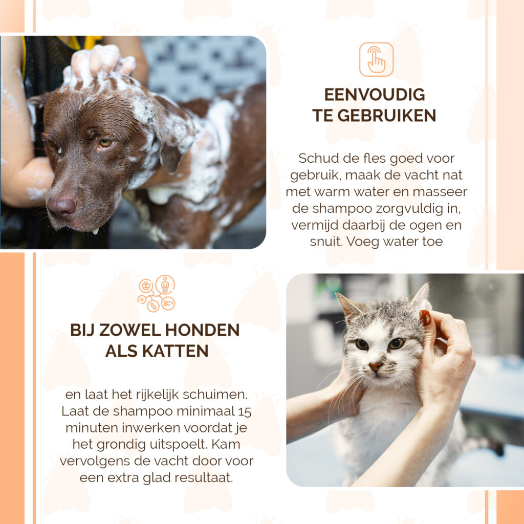 Knock Pest Vlooienshampoo 250 ml voor Honden en Katten - afbeelding 4