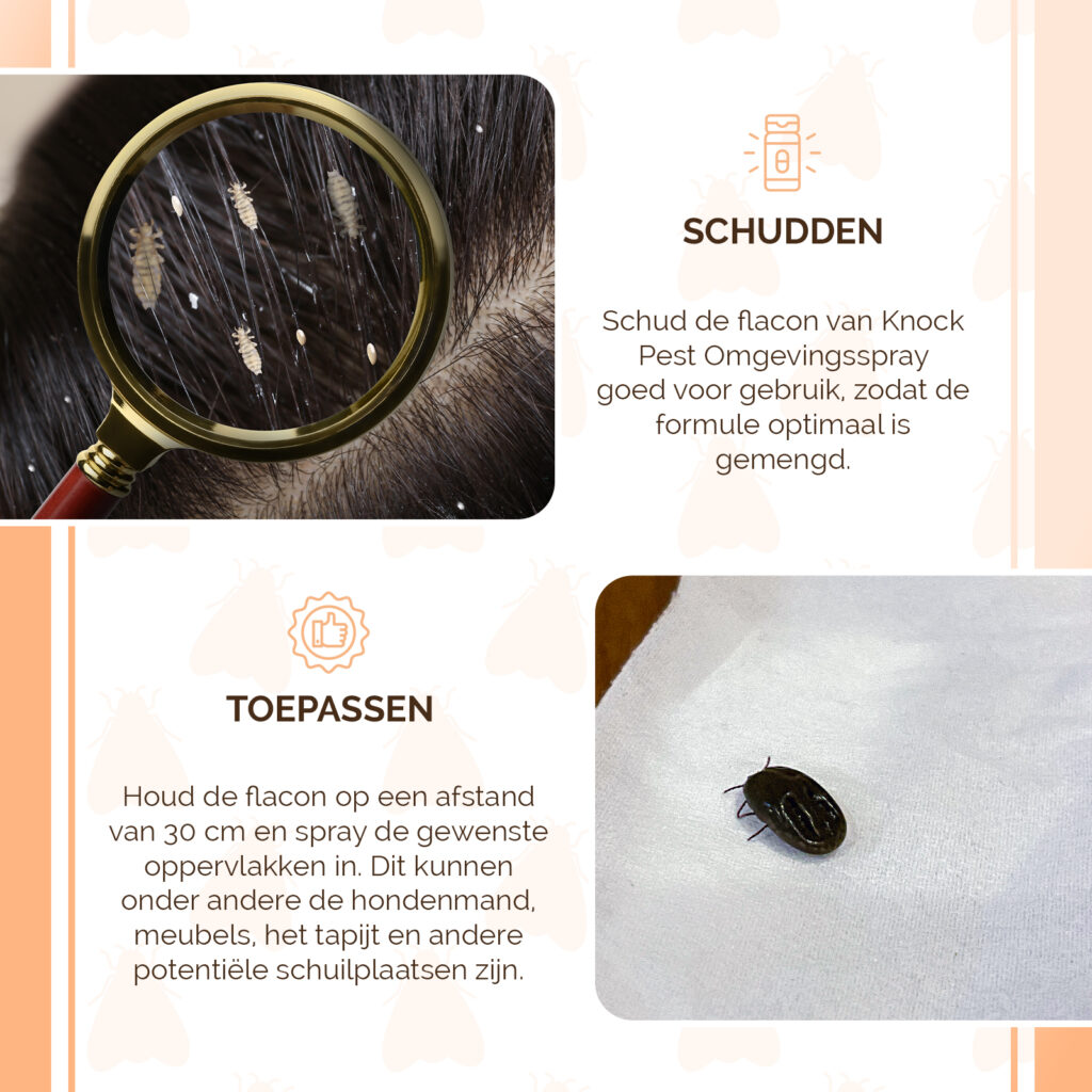 Knock Pest Omgevingsspray 250 ml - Bestrijd vlooien, luizen en teken - afbeelding 4