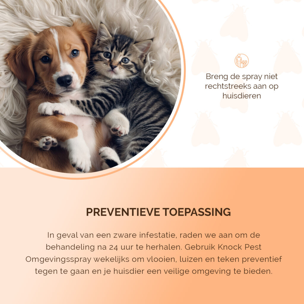 Knock Pest Omgevingsspray 250 ml - Bestrijd vlooien, luizen en teken - afbeelding 5