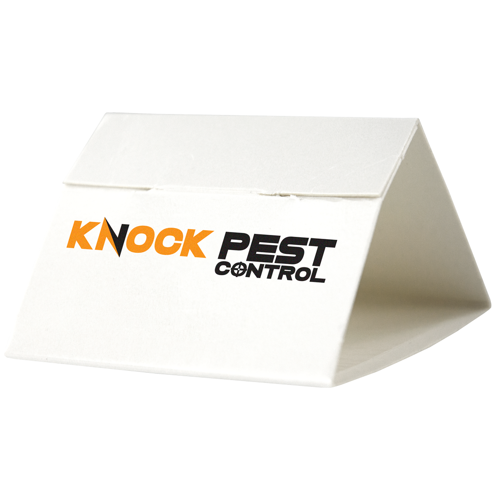 Knock Pest Zilvervisjesval Delta - 3 kleefvallen voor zilver- en papiervisjes - afbeelding 2