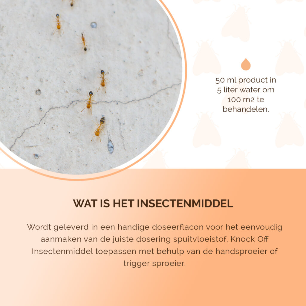 Knock Pest Insectenmiddel 100 ml - Effectief tegen kruipende insecten - afbeelding 5