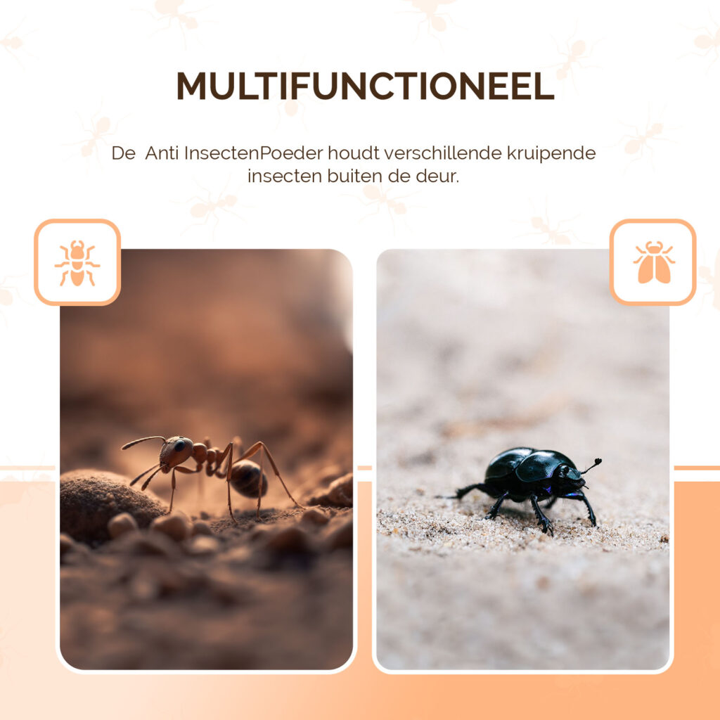 Knock Pest Insectenpoeder 250 g - Tegen kruipende insecten en spinnen - afbeelding 5