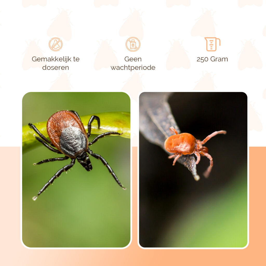 Knock Pest Insectenpoeder Bloedluis 250 g voor Pluimvee - afbeelding 3