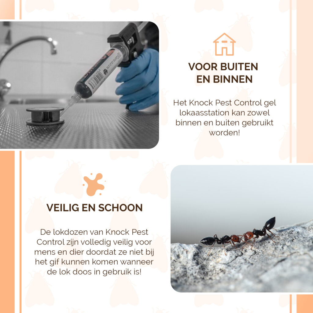 Knock Pest Gel Lokaasstation voor mieren en kakkerlakken - afbeelding 4