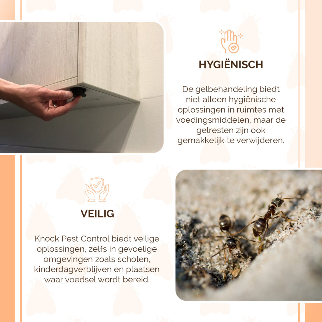 Knock Pest Gel Lokaasstation met plaksticker voor kruipende insecten - afbeelding 4