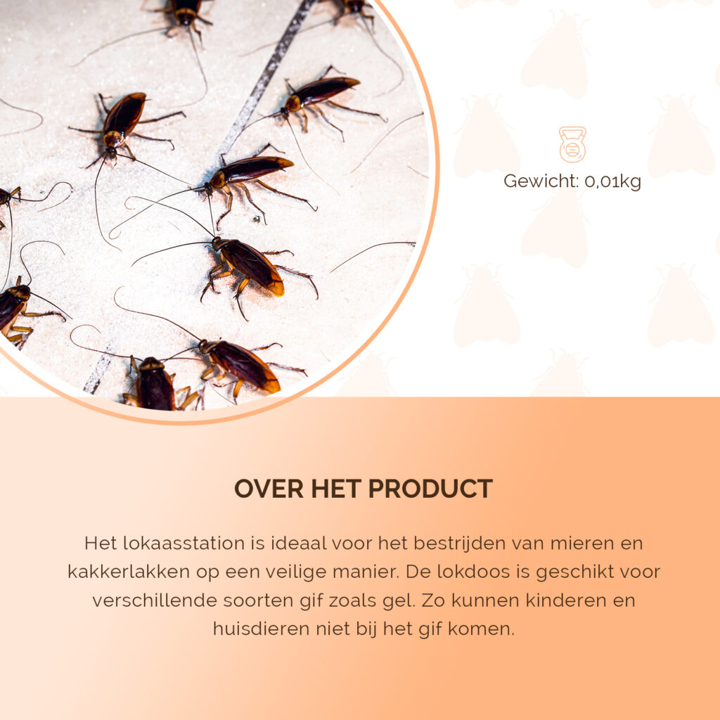 Knock Pest Gel Lokaasstation voor mieren en kakkerlakken - afbeelding 5