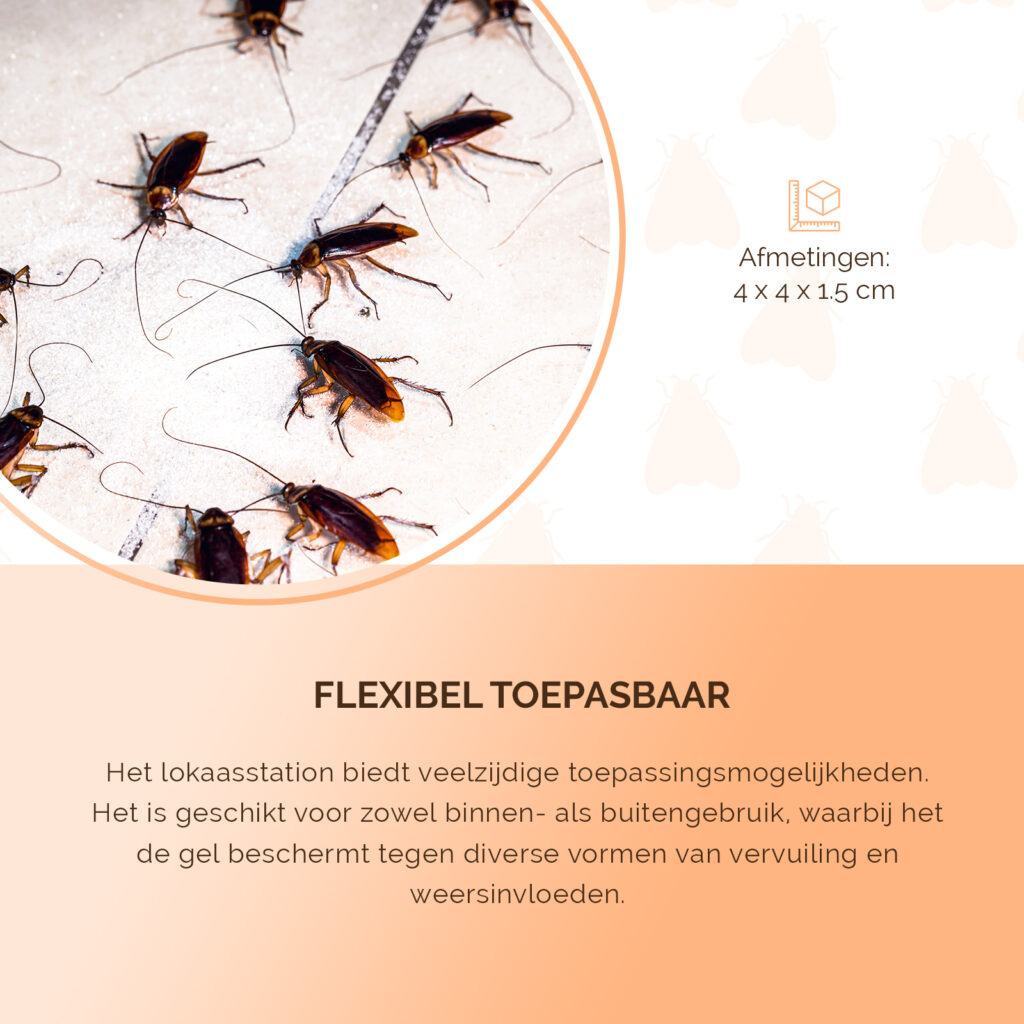 Knock Pest Gel Lokaasstation met plaksticker voor kruipende insecten - afbeelding 5