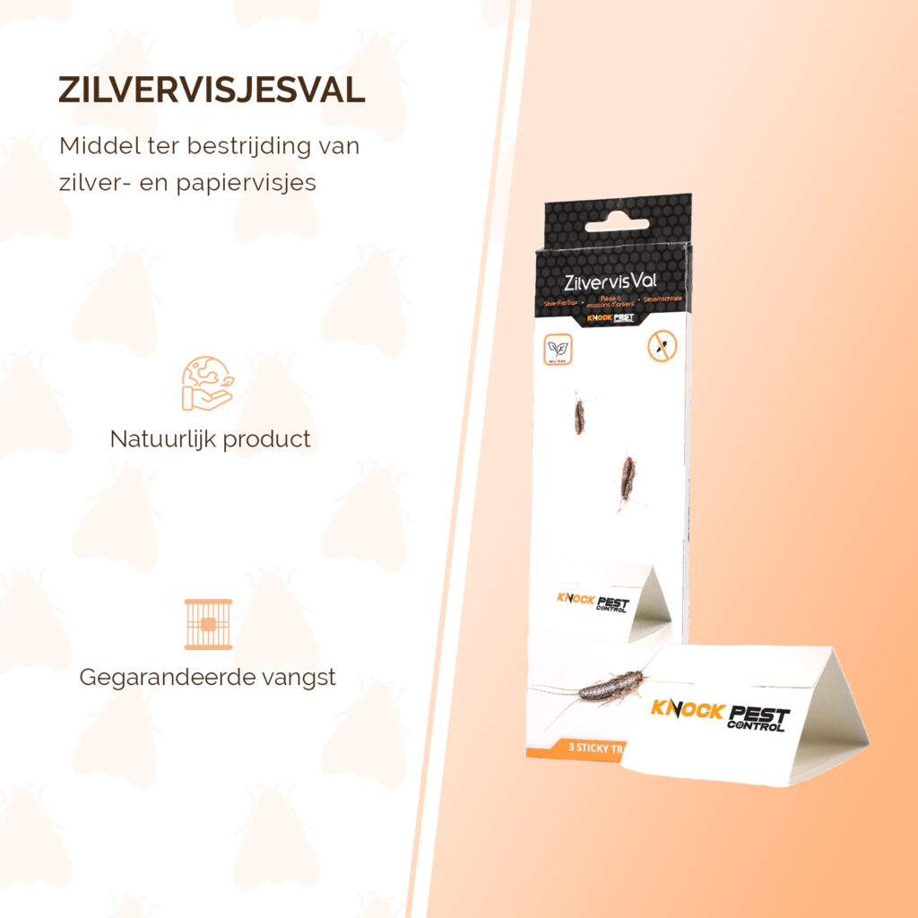 Knock Pest Zilvervisjesval Delta - 3 kleefvallen voor zilver- en papiervisjes - afbeelding 3