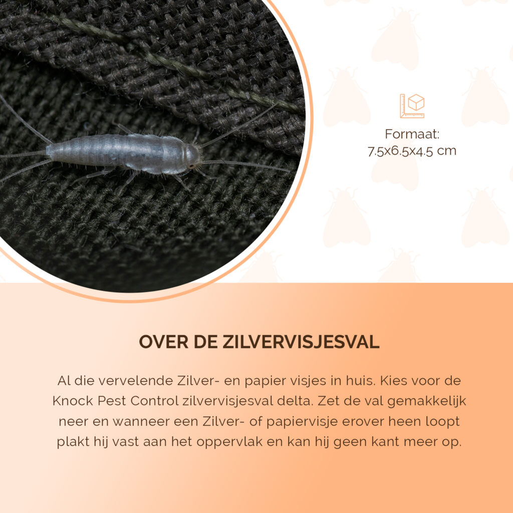 Knock Pest Zilvervisjesval Delta - 3 kleefvallen voor zilver- en papiervisjes - afbeelding 6
