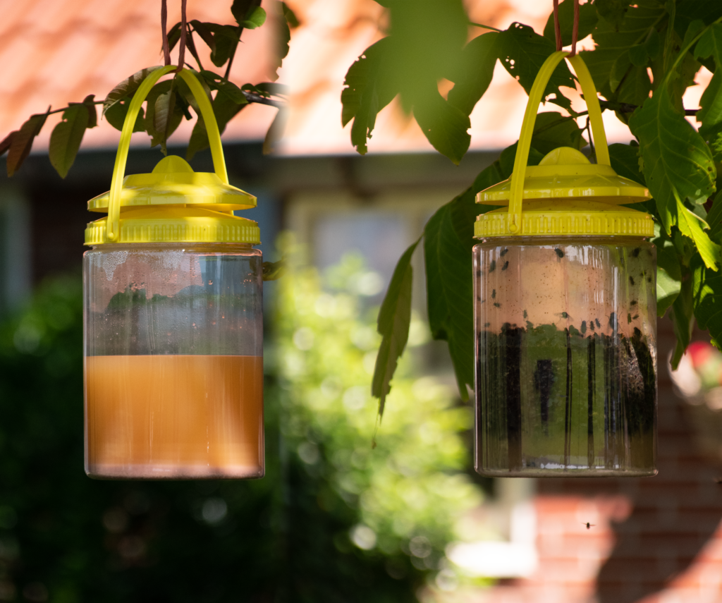 Knock Pest FlyNip VliegenVal - Vliegenbestrijding voor Buiten - afbeelding 2